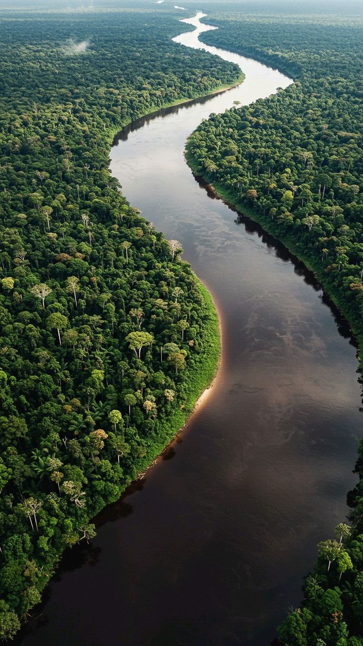 Amazonas